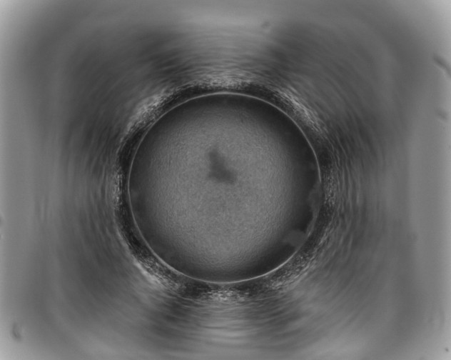 X0000096950736200802151237