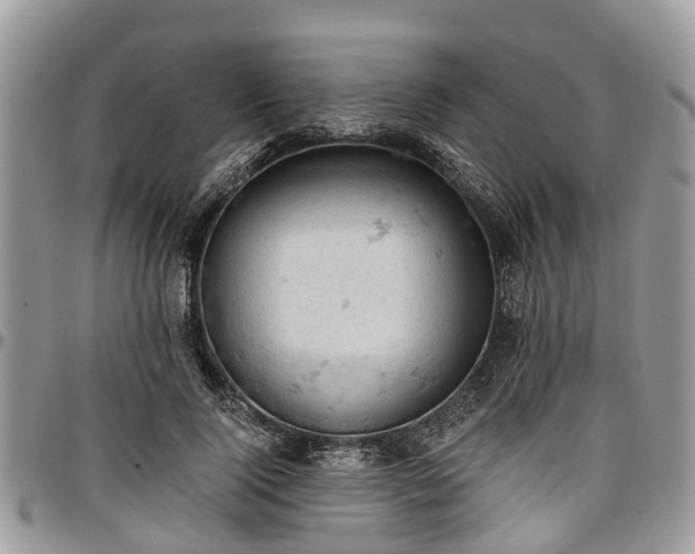 X0000096950740200802151237