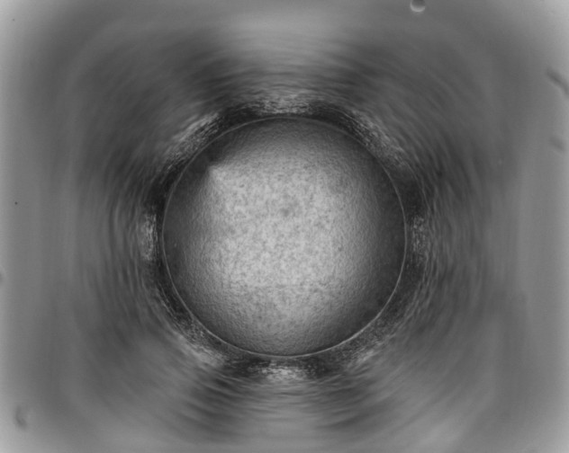 X0000096950741200802151237