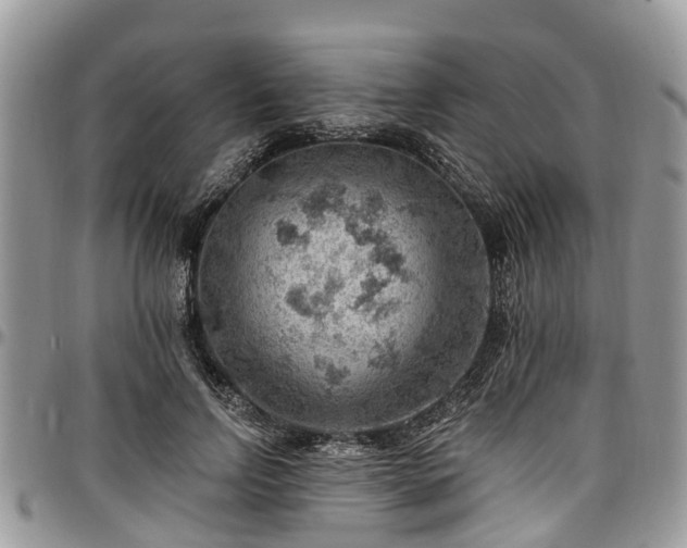 X0000096950742200802151237