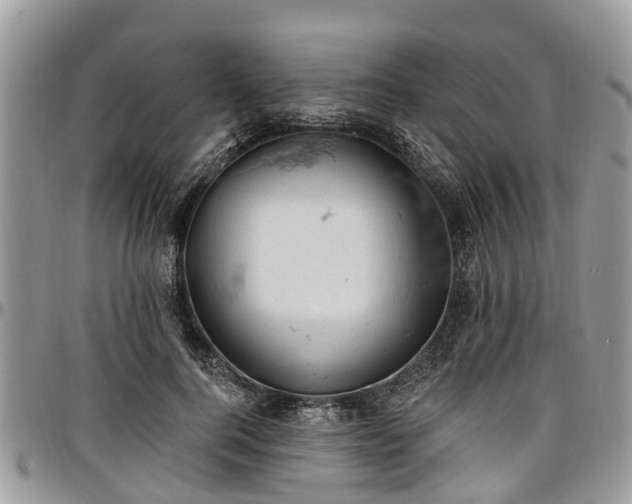X0000096950744200802151237