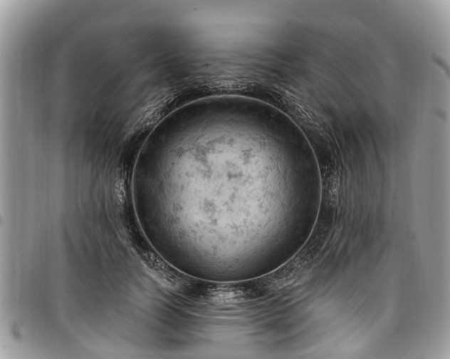 X0000096950746200802151237