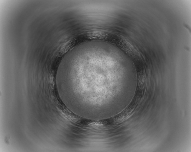 X0000096950749200802151237