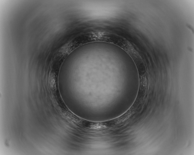 X0000096950754200802151237