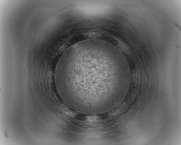 X0000096950757200802151237