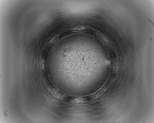X0000096950758200802151237