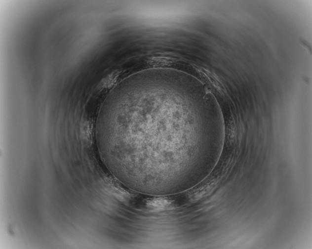 X0000096950759200802151237