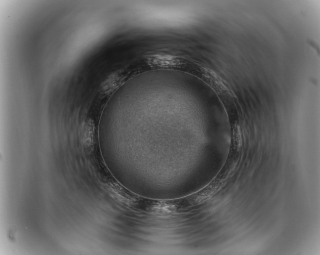 X0000096950760200802151237