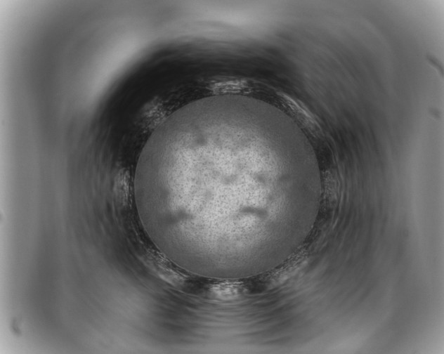 X0000096950761200802151237