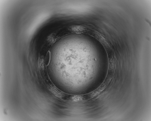 X0000096950762200802151237
