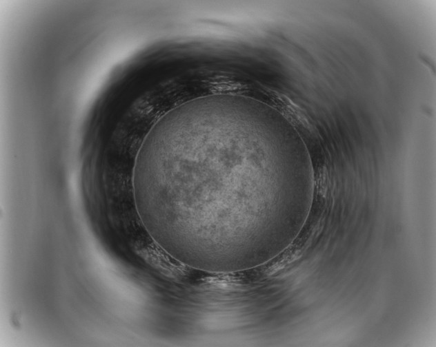 X0000096950763200802151237