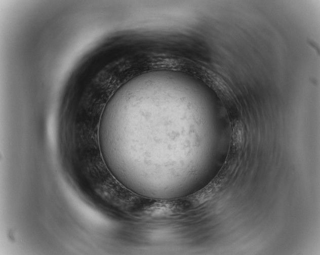 X0000096950764200802151237