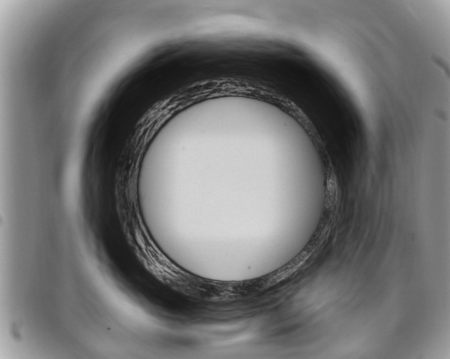 X0000096950765200802151237