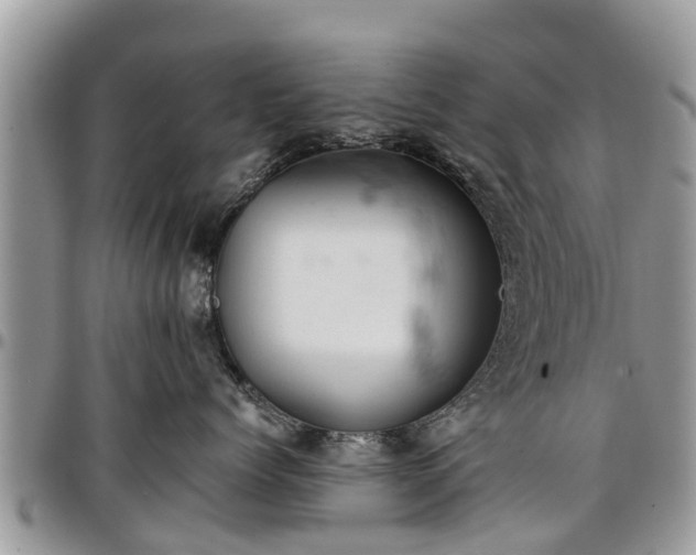 X0000096950768200802151237