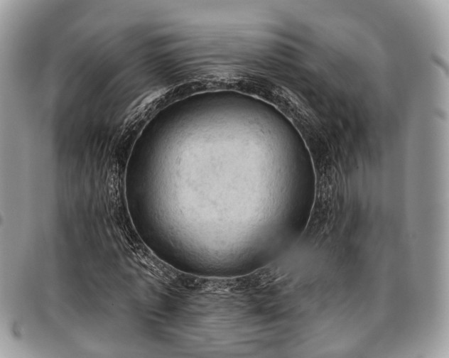 X0000096950773200802151236