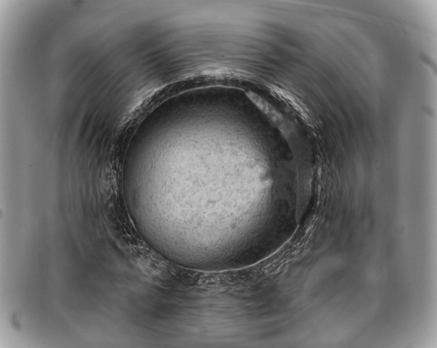 X0000096950776200802151236
