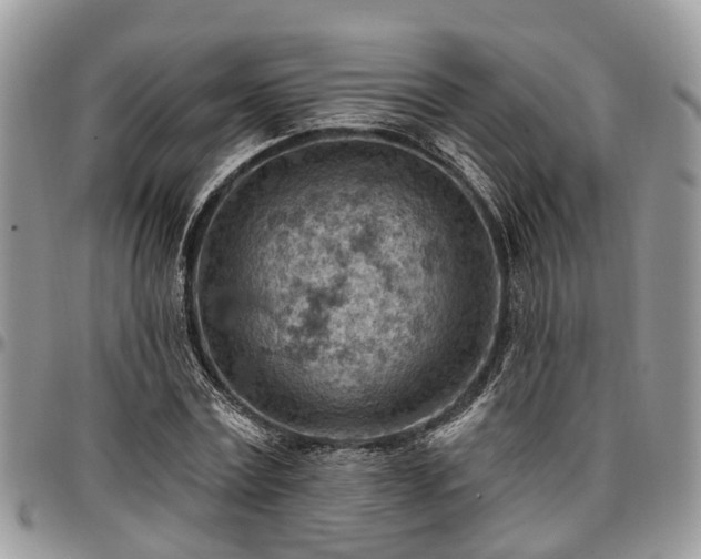 X0000096950779200802151236