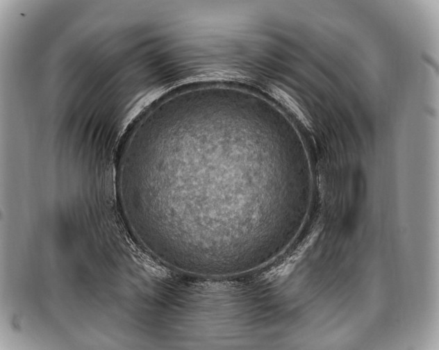 X0000096950781200802151236