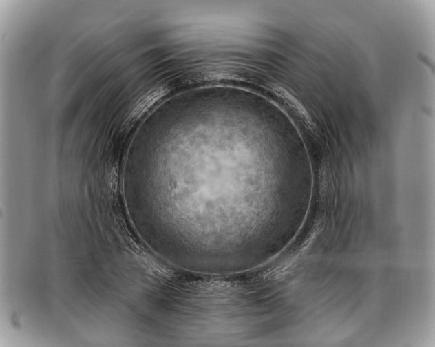 X0000096950785200802151236