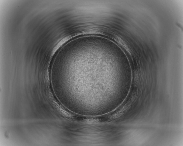 X0000096950789200802151236