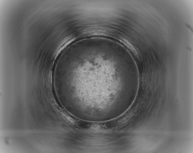 X0000096950790200802151236
