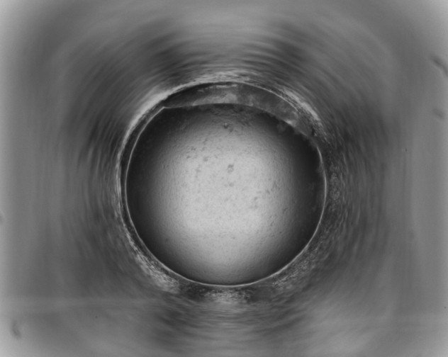 X0000096950792200802151236