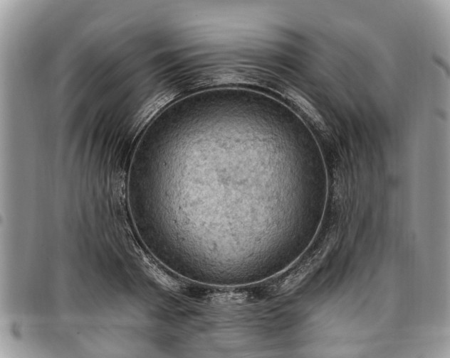 X0000096950793200802151236