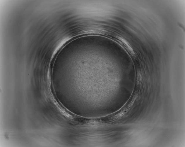 X0000096950796200802151236