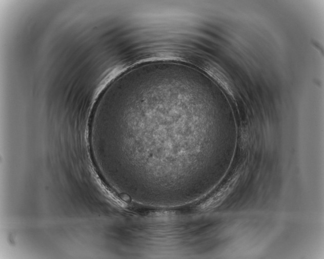 X0000096950797200802151236