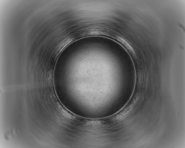 X0000096950801200802151236