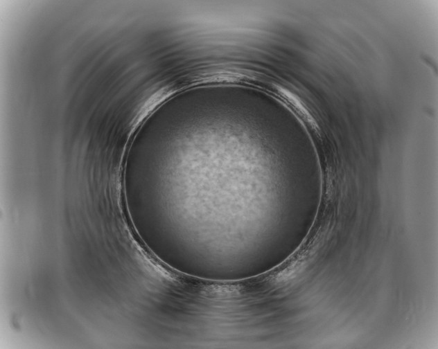 X0000096950802200802151236