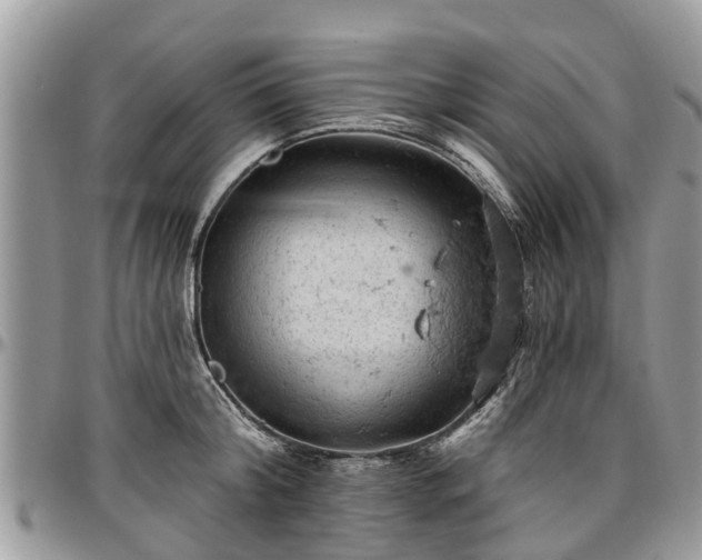 X0000096950804200802151236