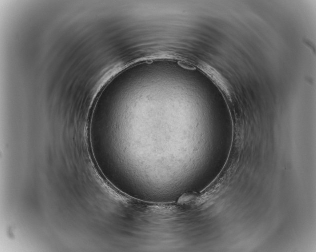 X0000096950805200802151236