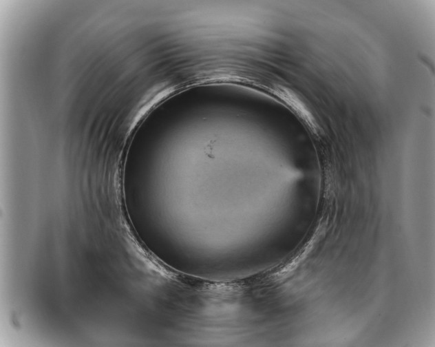 X0000096950806200802151236