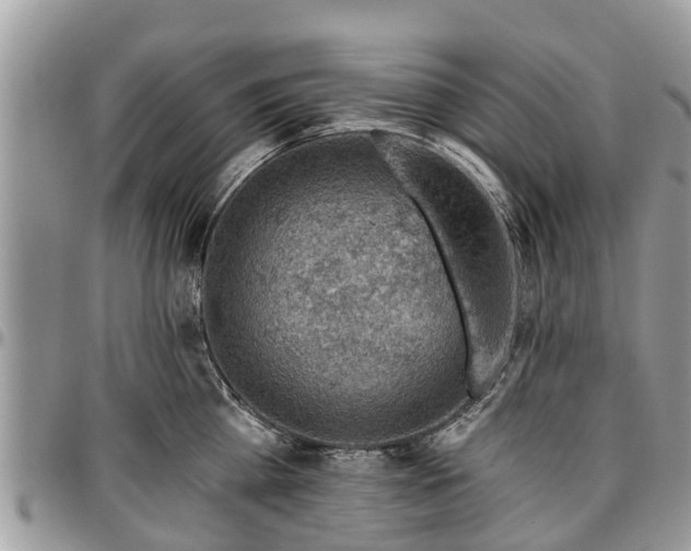X0000096950809200802151236