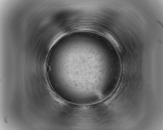 X0000096950814200802151236
