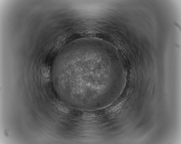 X0000096950818200802151235