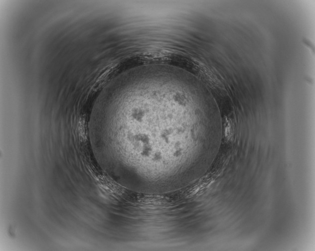 X0000096950819200802151235