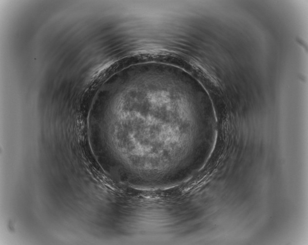 X0000096950822200802151235