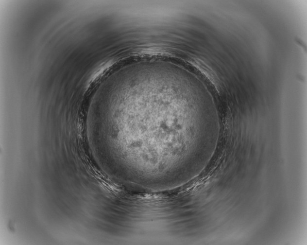 X0000096950823200802151235