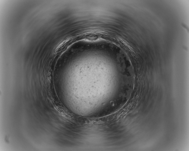 X0000096950824200802151235
