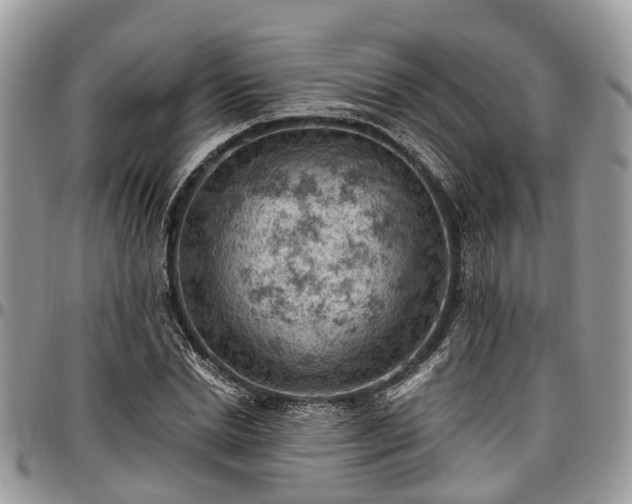 X0000096950830200802151235
