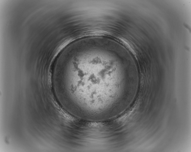 X0000096950835200802151235