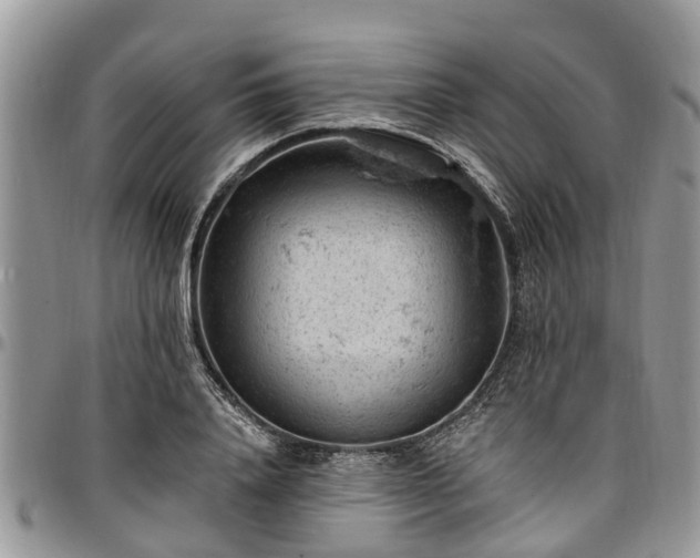 X0000096950840200802151235