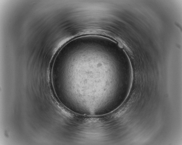 X0000096950846200802151236