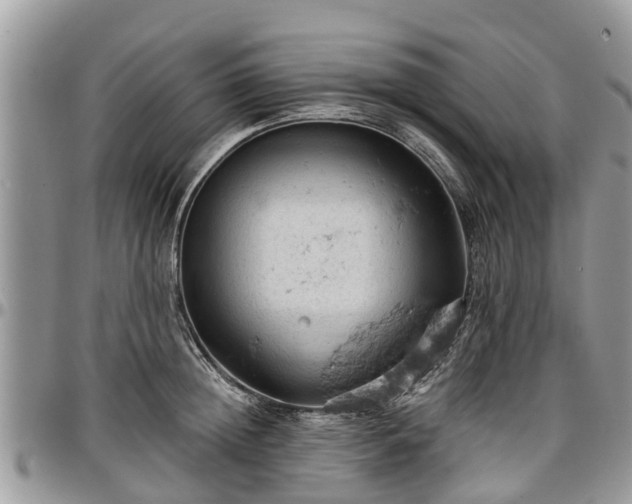 X0000096950852200802151236