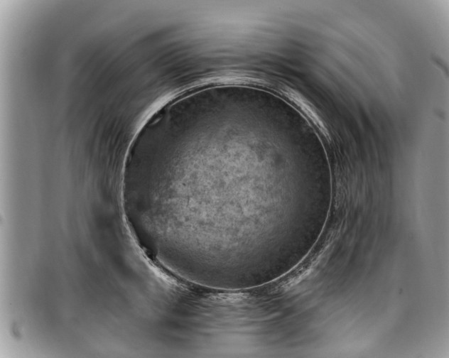 X0000096950853200802151236