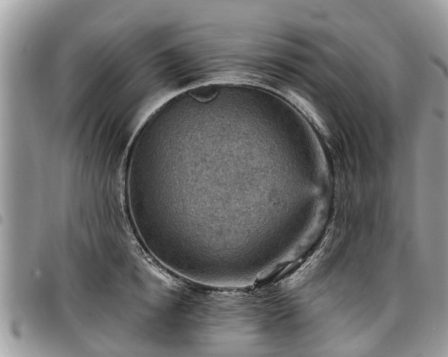 X0000096950854200802151236