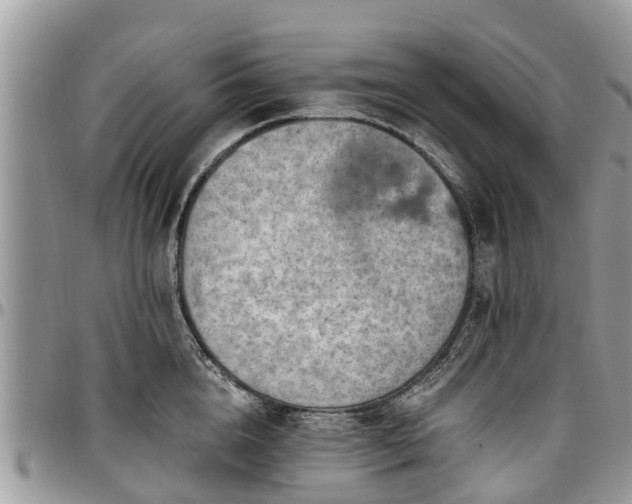 X0000096950856200802151236
