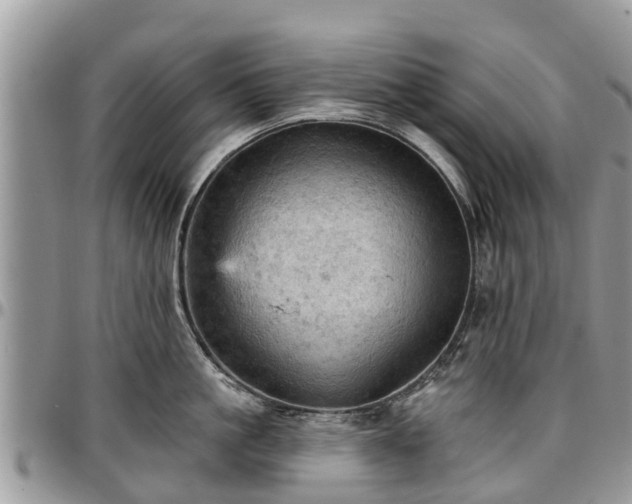 X0000096950861200802151236